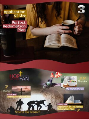 cover image of Application of the Perfect Redemption Plan 3